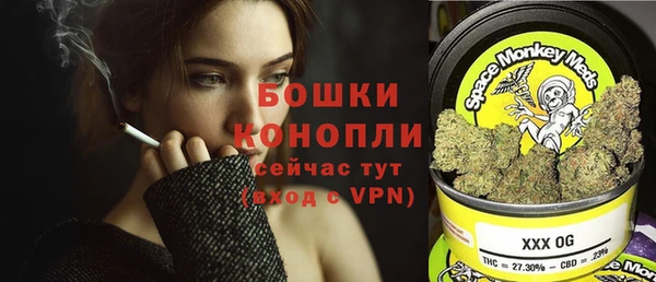 мдпв Михайловск