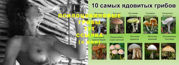 мдпв Михайловск