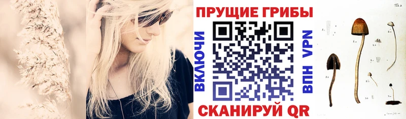 Галлюциногенные грибы MAGIC MUSHROOMS  Тарко-Сале 